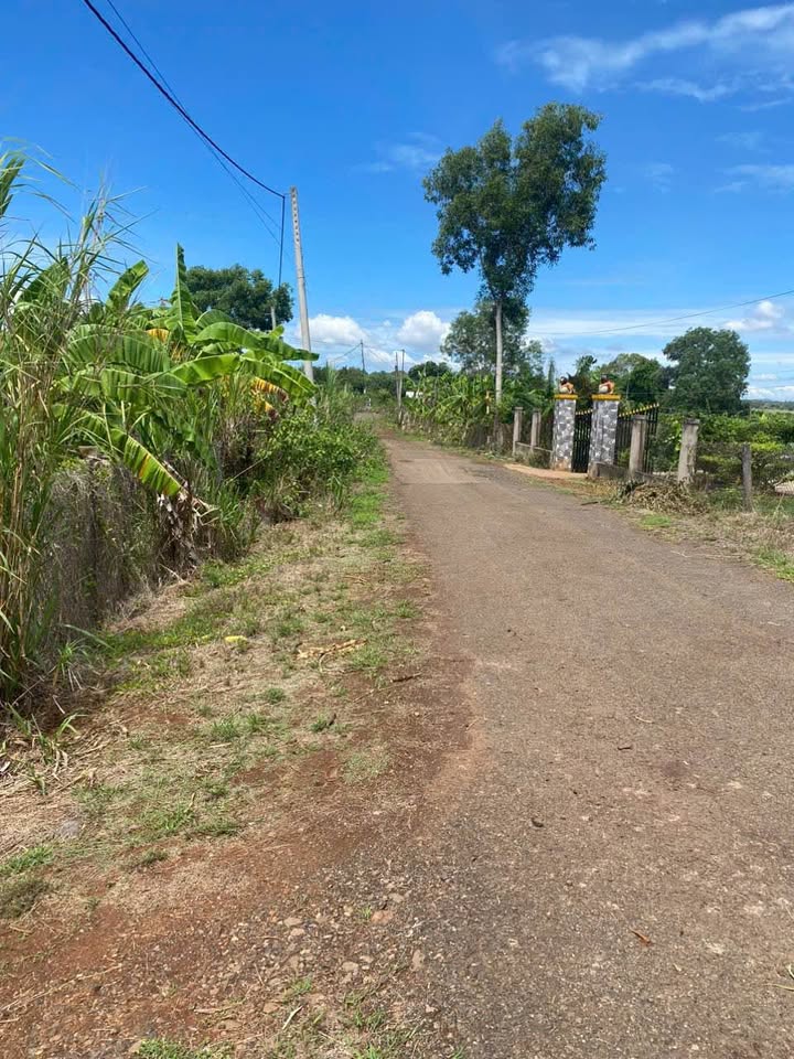 Đất nghỉ dưỡng Long Tân 1,4ha giá 1,3 triệu/m² - Cơ hội đầu tư hấp dẫn!