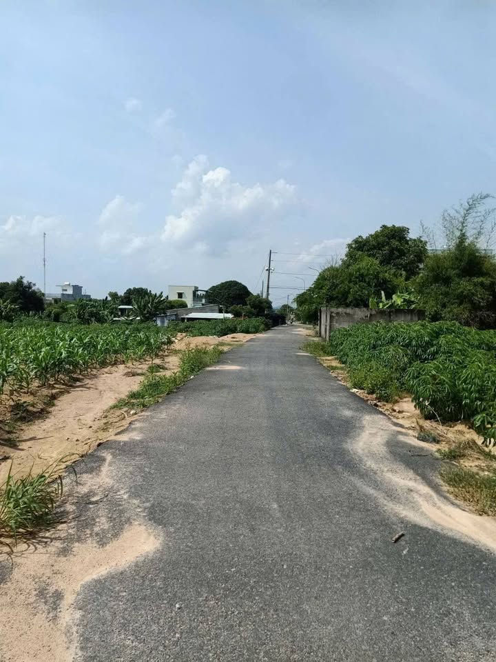 Đất nền Tam Phước, Long Điền 516.3m² giá chỉ 2.5 tỷ - Cắt lỗ nhanh chóng!