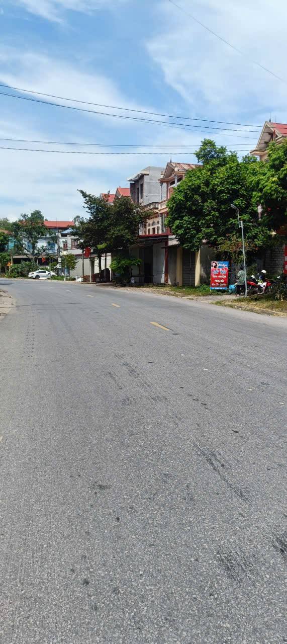 Đất nền Tỉnh lộ 295, xã Việt Ngọc, 100m² giá 2 tỷ - Kinh doanh nhộn nhịp!