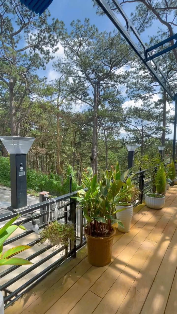 Căn hộ cho thuê Đà Lạt 45m² giá 3.5 triệu - View đẹp, nội thất đầy đủ!