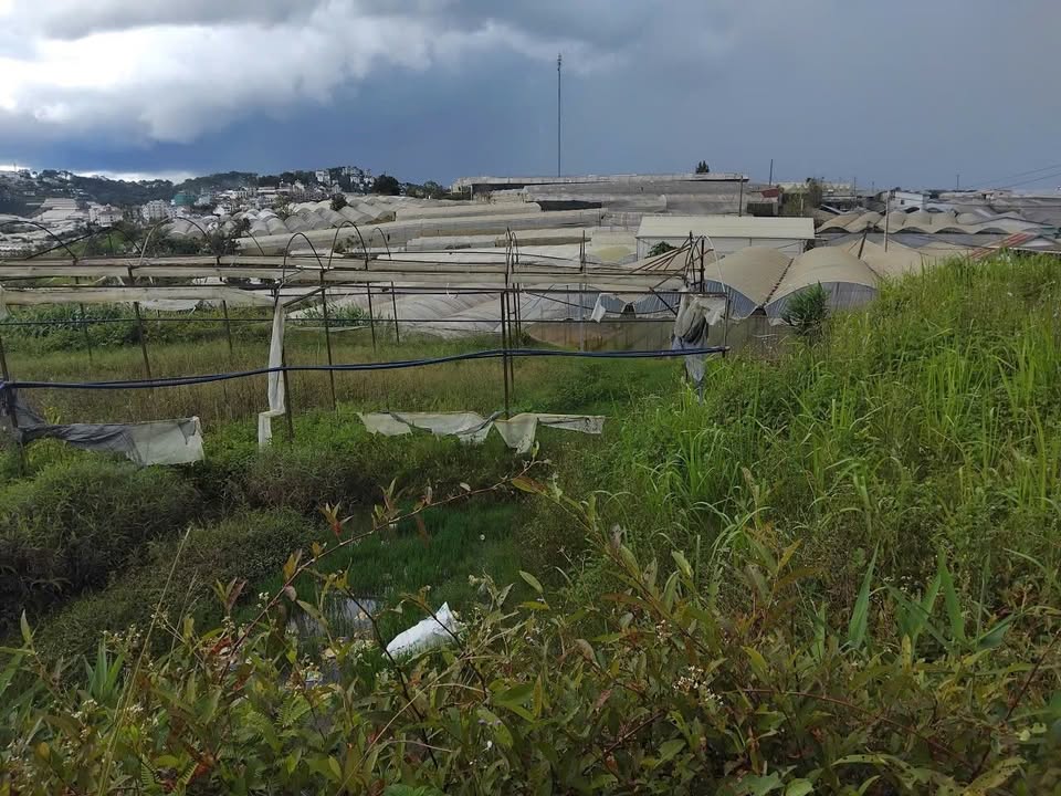 Đất thổ cư Đà Lạt 200m² giá 700 triệu - Sổ đỏ chính chủ