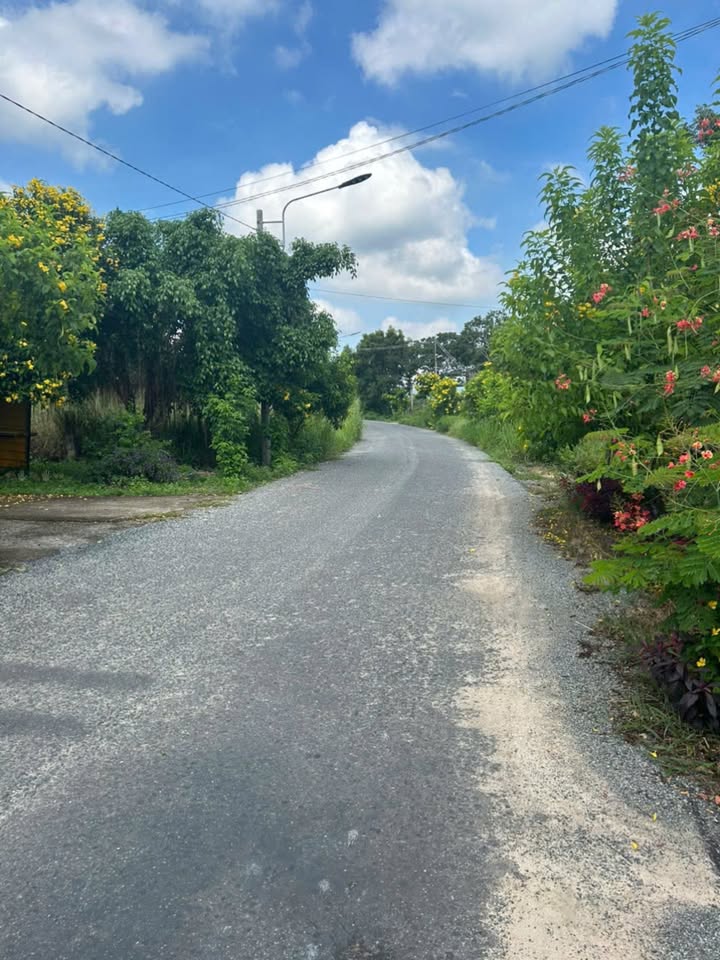 Đất nền Tô Hiến Thành, Tân Hải 632m² giá 1.7 tỷ - Cơ hội đầu tư hấp dẫn!