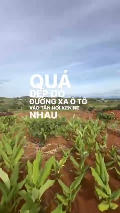 Đất Farm 1.8ha tại Xuân Phú, Ea Kar - Giá chỉ 3 tỷ, Đầu tư sinh lời!