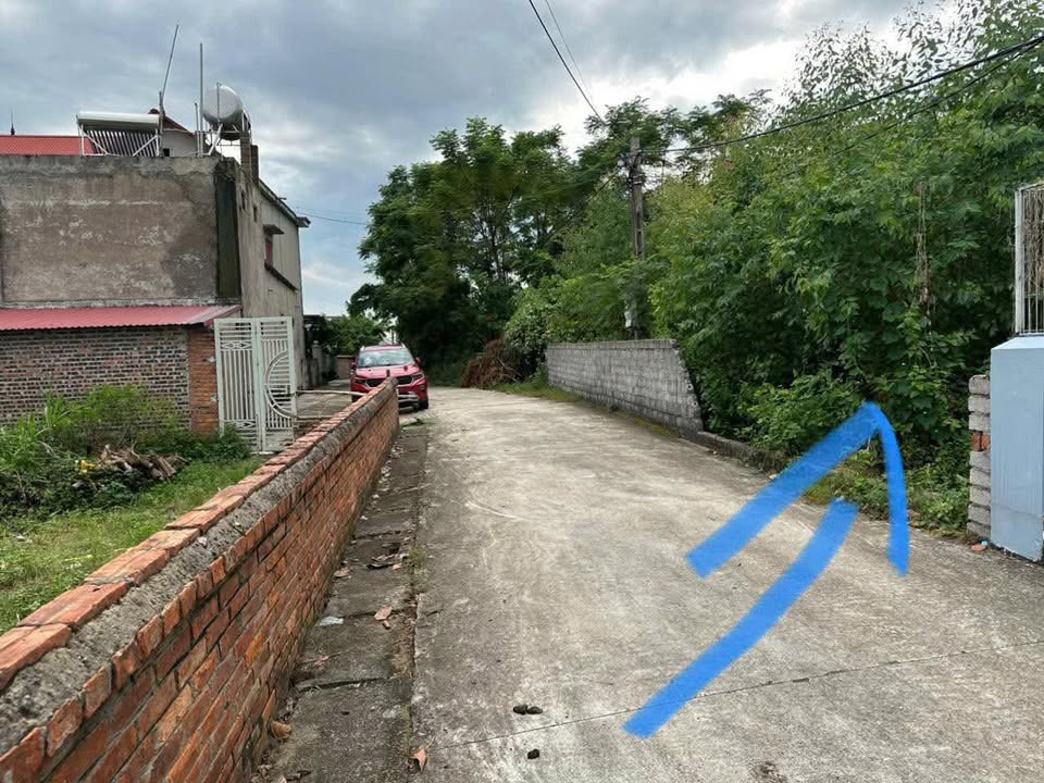 Đất nền Tân An, Yên Dũng, 128m² giá thỏa thuận - Đường ô tô thông thoáng!