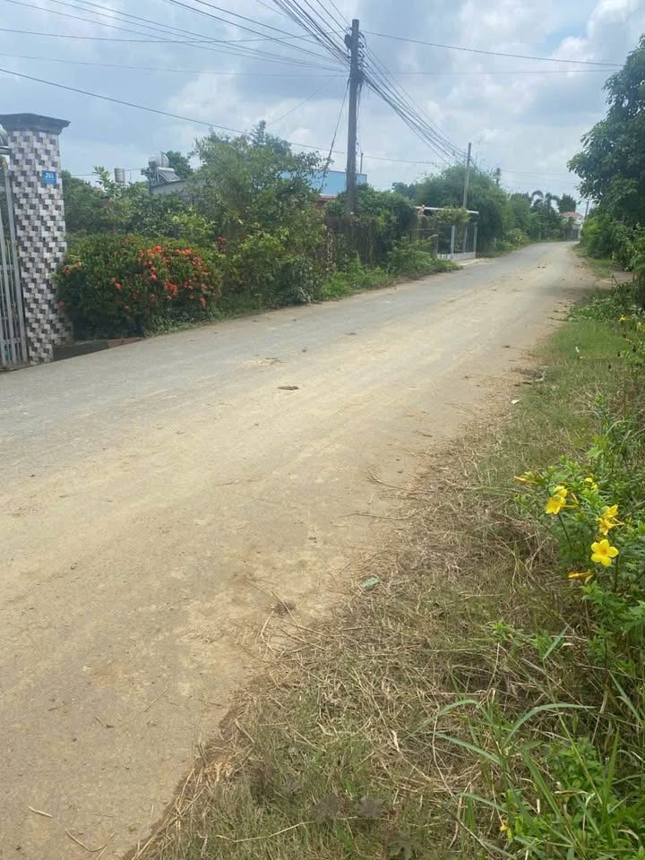 Bán lô đất mặt tiền đường Bình Lục, Vĩnh Cửu - 442m², vị trí đắc địa sinh lời cao!