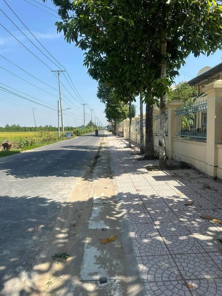 Đất nền Bình Tân Vĩnh Long 1000m² giá 500 triệu - Cơ hội đầu tư tuyệt vời!