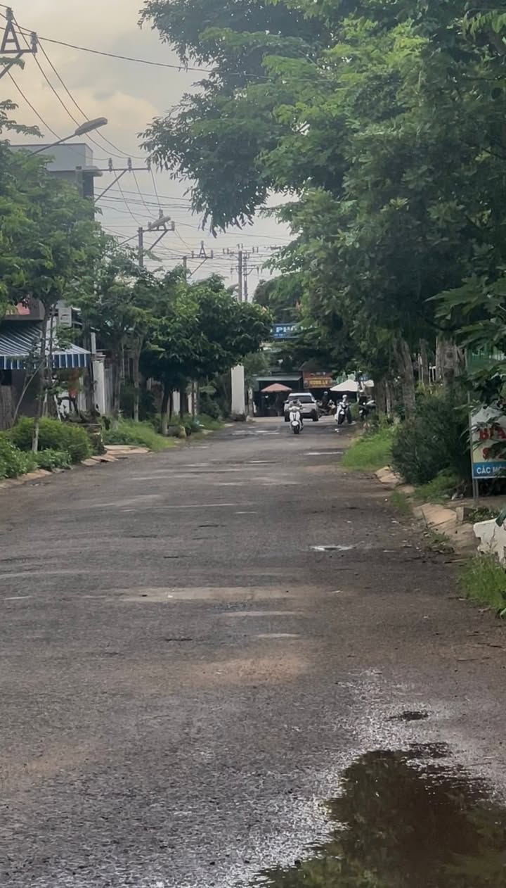 Đất nền góc 2 mặt tiền đường Hoàng Hoa Thám, Gia Lai 230m² giá 3 tỷ - Cơ hội đầu tư lý tưởng!