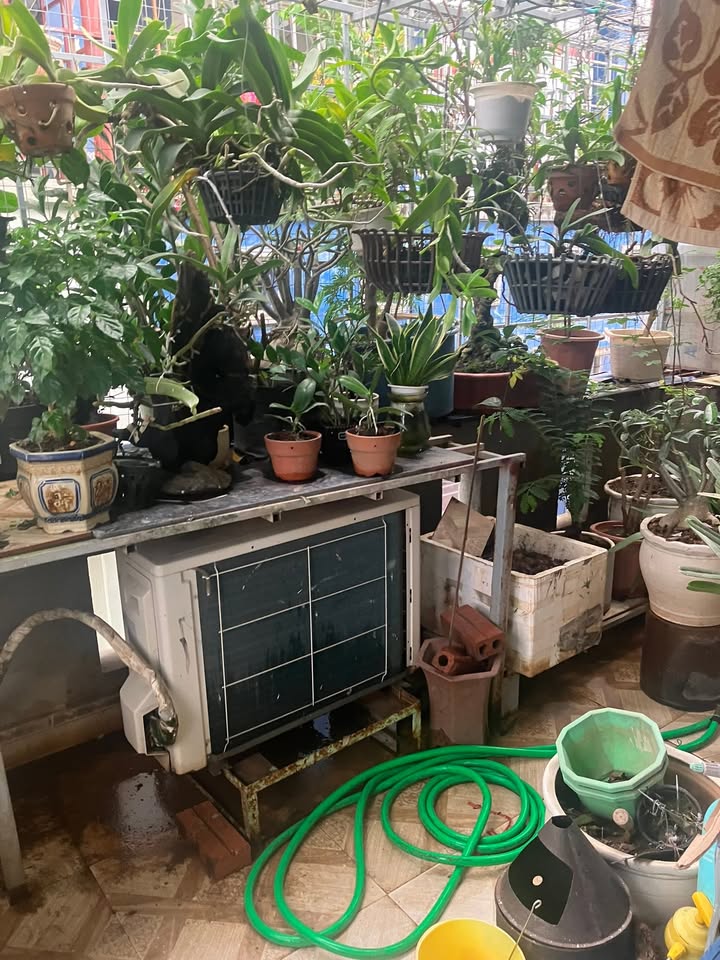 Nhà bán tại Đằng Giang, Hải Phòng, 25.5m² - Thiết kế 3 tầng hiện đại