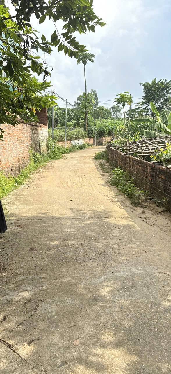 Đất nền Khu 5 Thanh Đình 80m² giá 920 triệu - Phù hợp cho công nhân