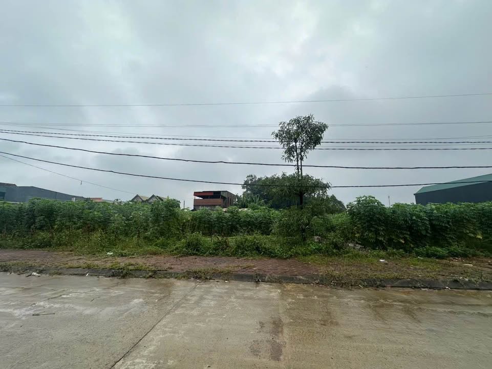 Đất nền đẹp Thanh Đình Việt Trì 300m² giá 3.1 tỷ - Sổ đỏ chính chủ