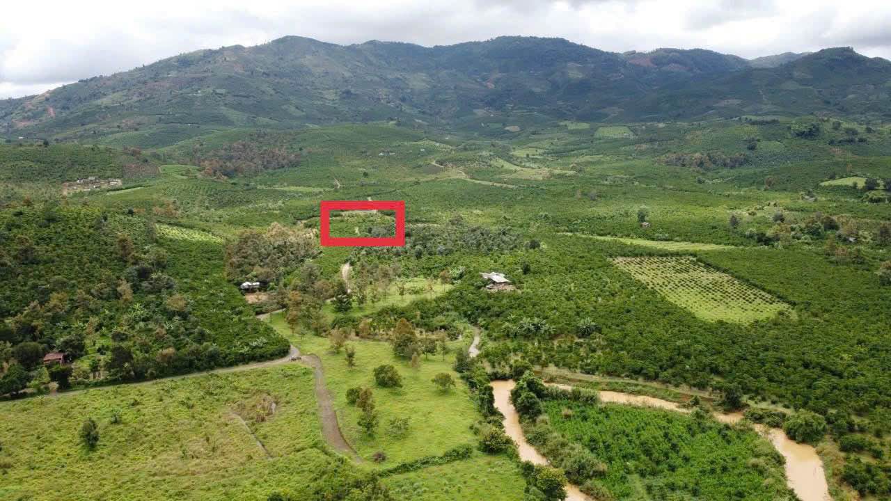 Đất nền Lộc Châu, Bảo Lộc 1000m² giá 820 triệu - Đường ô tô vào tận nơi!