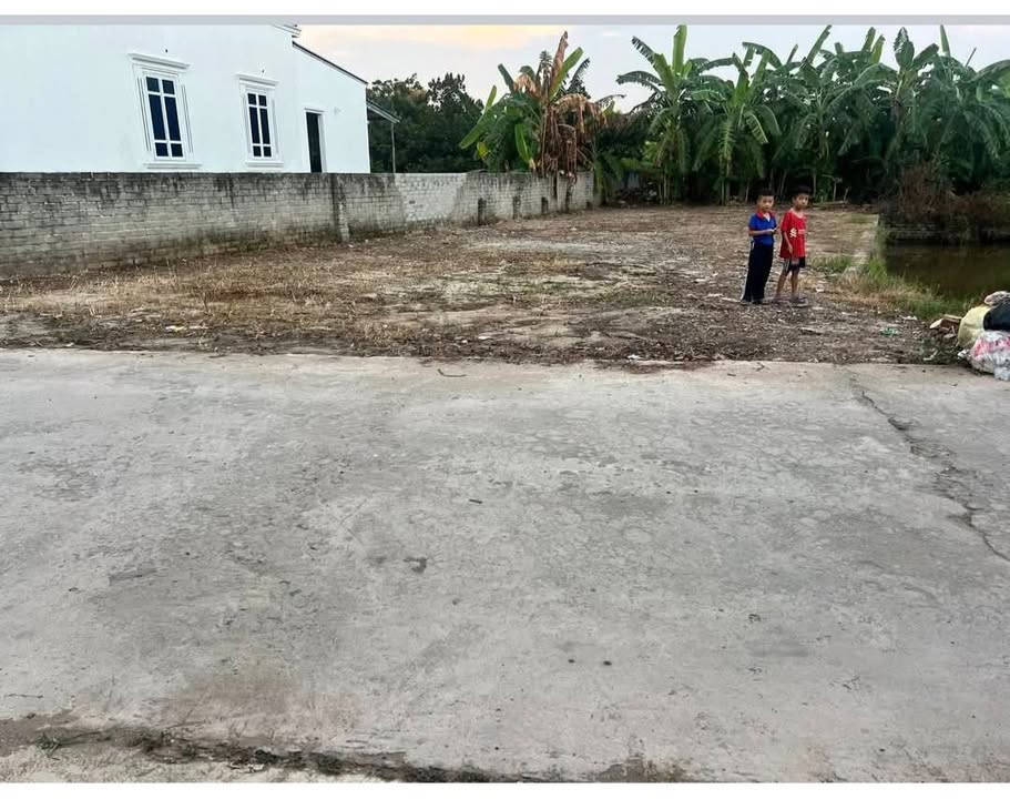 Đất nền Văn Tố, Tứ Kỳ 324m² giá chỉ 2 tỷ - Tiềm năng đầu tư vượt trội!