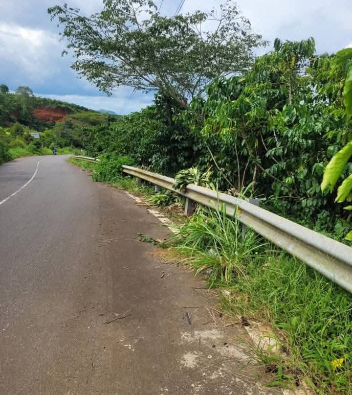 Đất Farm 4 Sào tại Đoàn Thị Điểm, Bảo Lộc - Giá chỉ 750 triệu