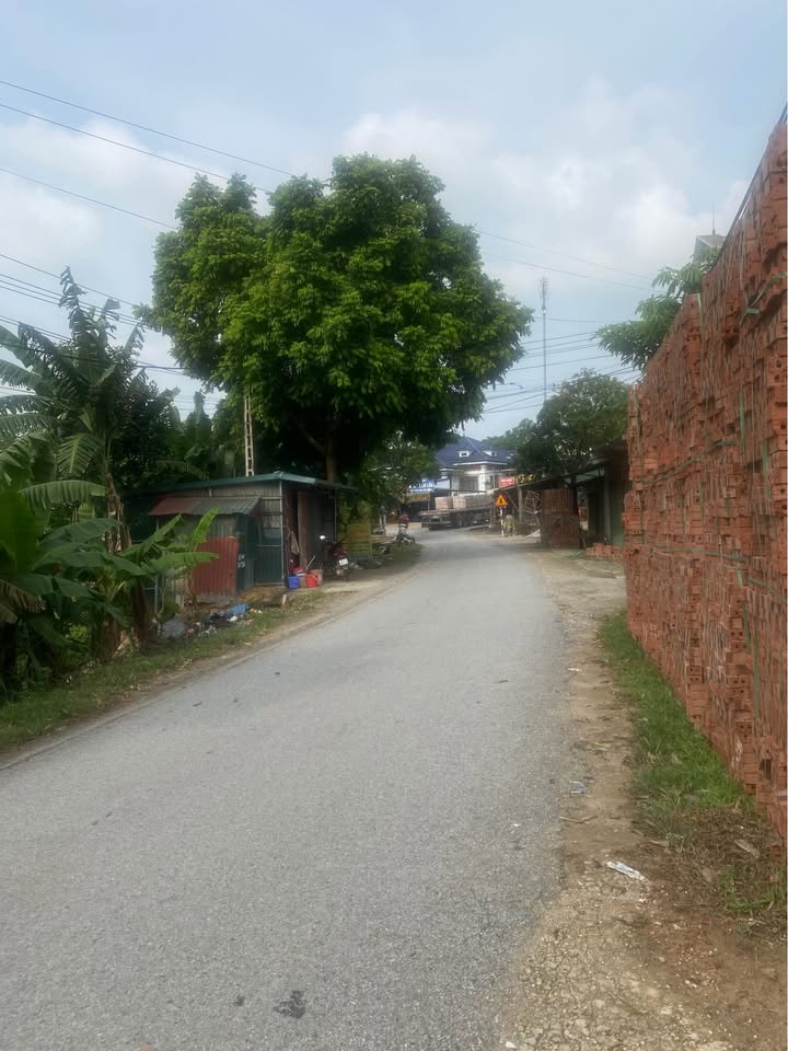 Đất nền Vĩnh Chân Hạ Hòa 120m² giá 800 triệu - Đầu tư sinh lời ngay!