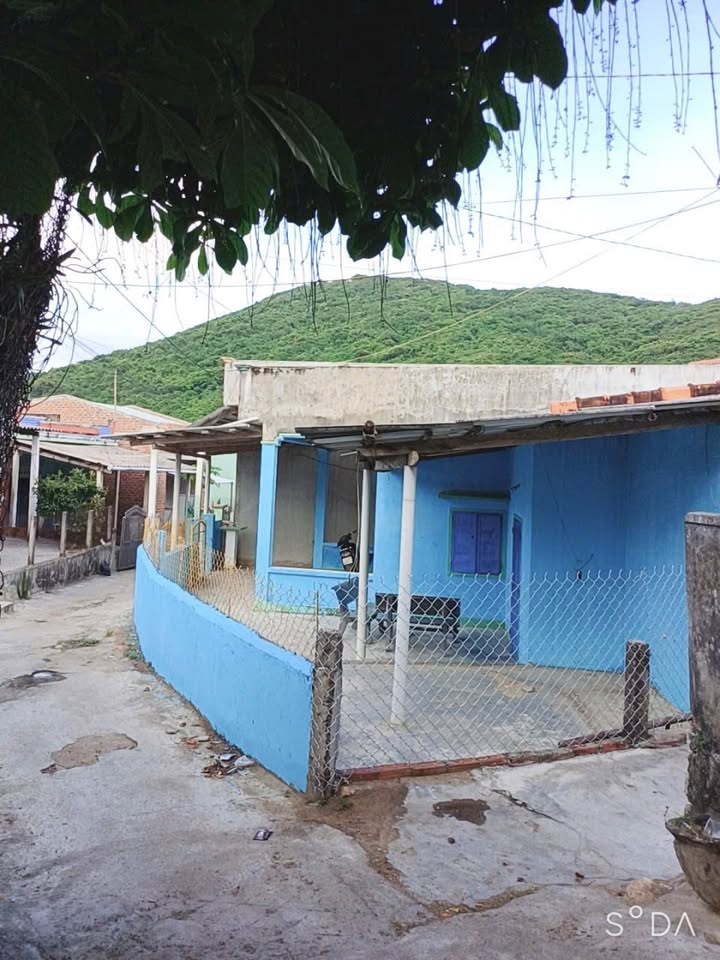 Nhà cấp 4 2 mặt hẻm rộng tại Mỹ Thọ, Phù Mỹ - Diện tích 128,1m², giá thỏa thuận hấp dẫn!