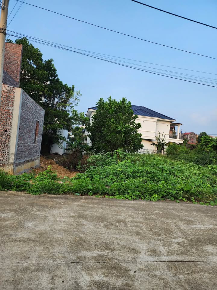 Đất thổ cư 125m² tại Thanh Sơn - Giá chỉ 2 tỷ, sổ đỏ chính chủ!
