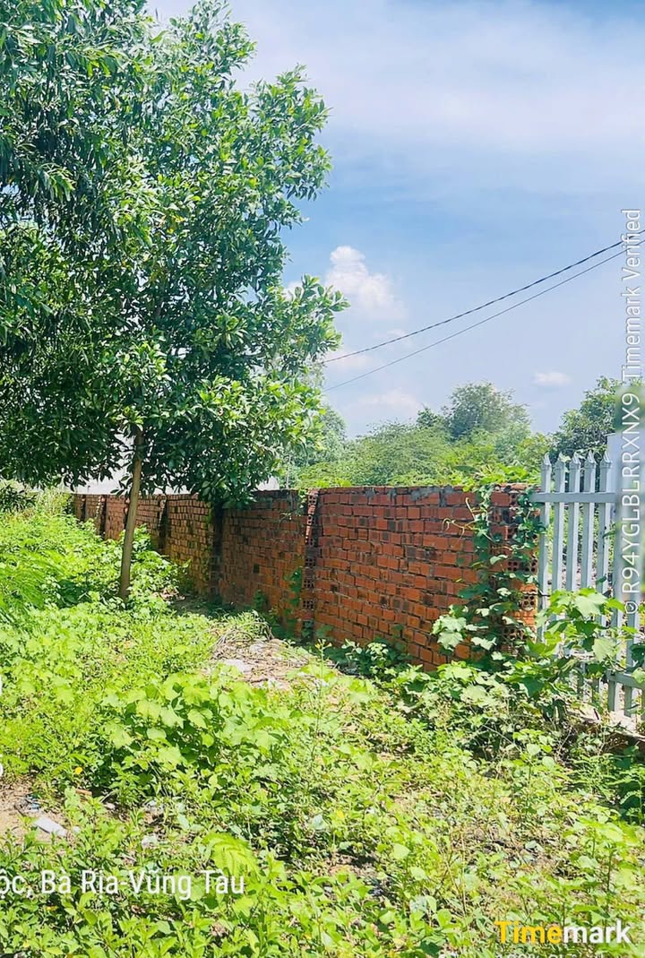 Đất nền 153m² tại thị trấn Phước Bửu - Giá 2 tỷ, kinh doanh thuận lợi!