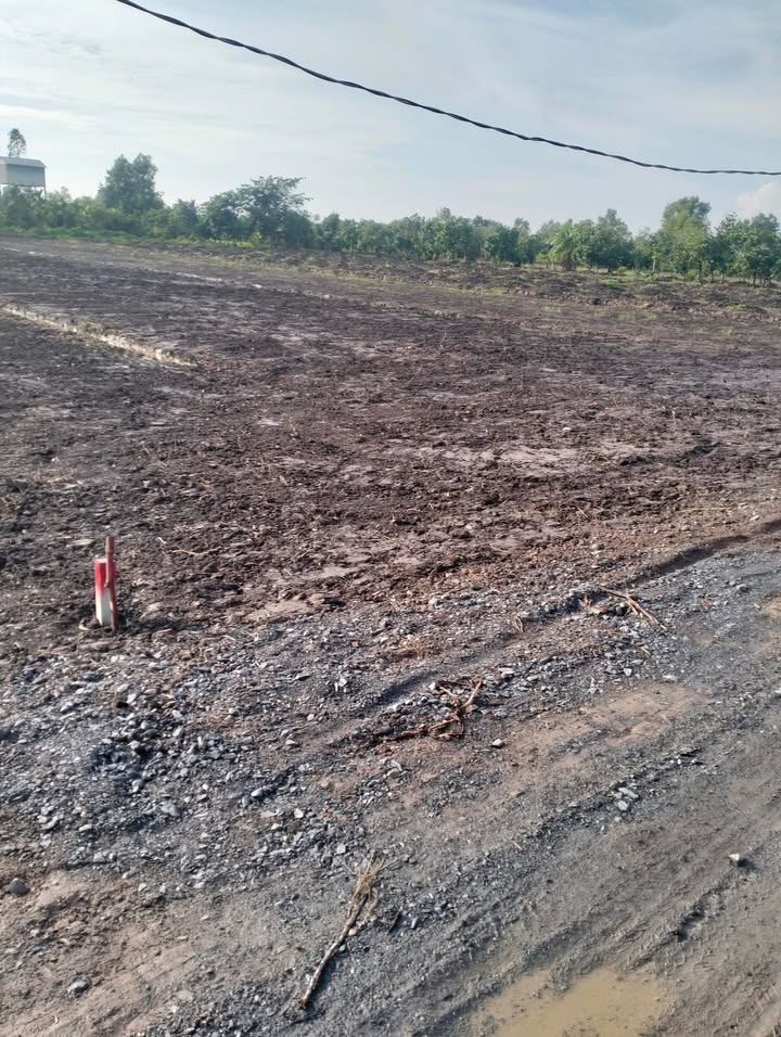 Đất vườn 1000m² Bình Đức, Bến Lức chỉ 999 triệu - Đầu tư sinh lời ngay!