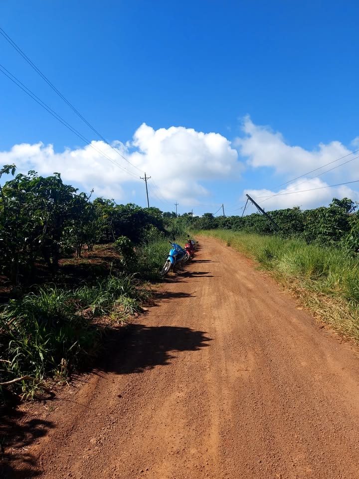 Đất Farm Tân Văn Lâm Hà 2268m² giá 3.3 tỷ - Bán gấp trong 10 ngày!