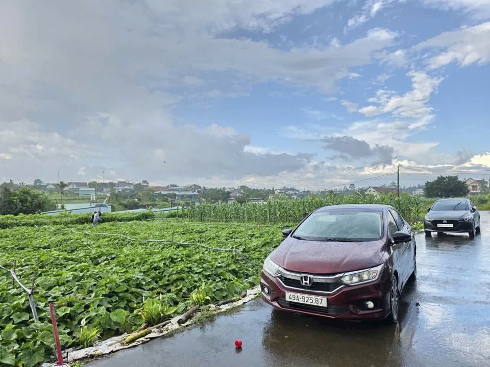 Đất liền kề hẻm 135 Ng Tri Phương, Bảo Lộc 147m² - Cơ hội đầu tư tuyệt vời!