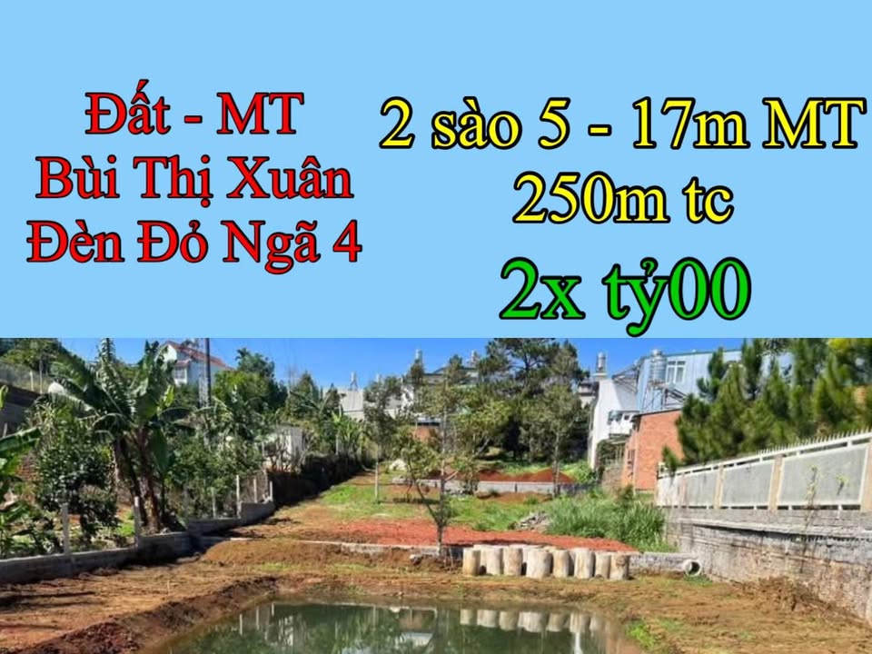 Đất mặt tiền Bùi Thị Xuân, Bảo Lộc 2500m² giá 2 tỷ - Cơ hội đầu tư hấp dẫn!