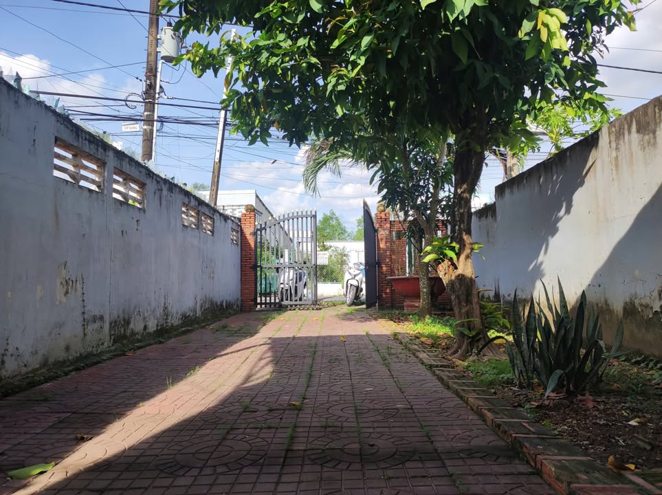 Đất mặt tiền Đường Huyện 29, xã Long Hồ 239.6m² giá 1.85 tỷ - Đầu tư sinh lời ngay!