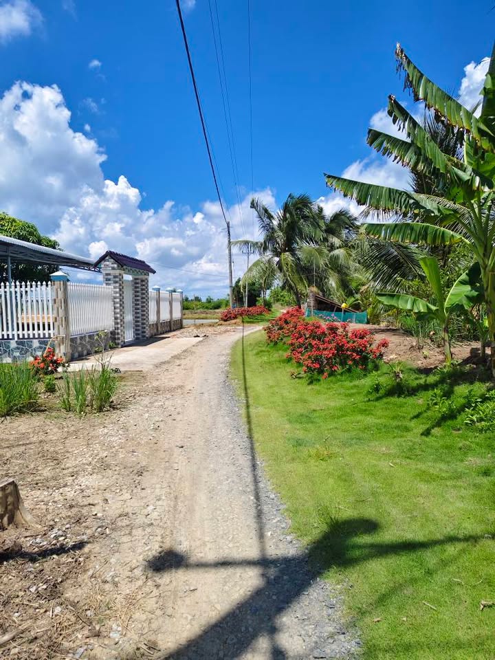 Đất ao tôm 5600m² tại Mỹ Xuyên, Sóc Trăng giá chỉ 370 triệu - Đầu tư sinh lời ngay!