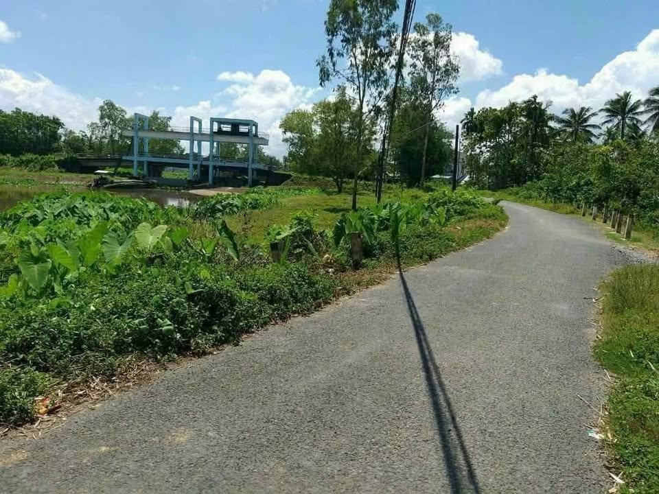 Đất nền mặt tiền đường Trương Vĩnh Ký, 230m² - Giá thỏa thuận cực tốt!