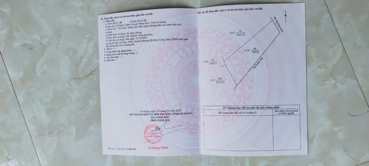 Đất nông nghiệp xã Định Thành, huyện Thoại Sơn, 9500m² - Giá chỉ 1.235 tỷ, cơ hội đầu tư hấp dẫn!