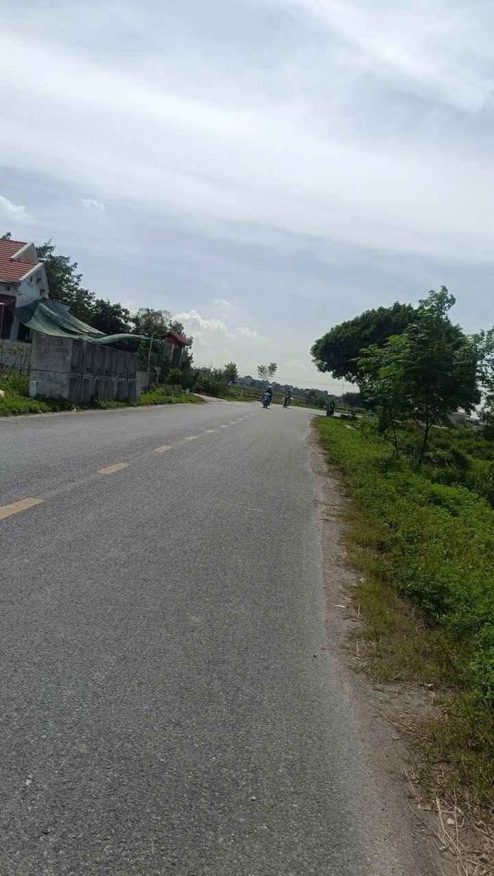 Đất nền mặt đường Chùa Gào, Bình Mỹ, 150m² giá chỉ 1.4 tỷ - Đầu tư sinh lời!