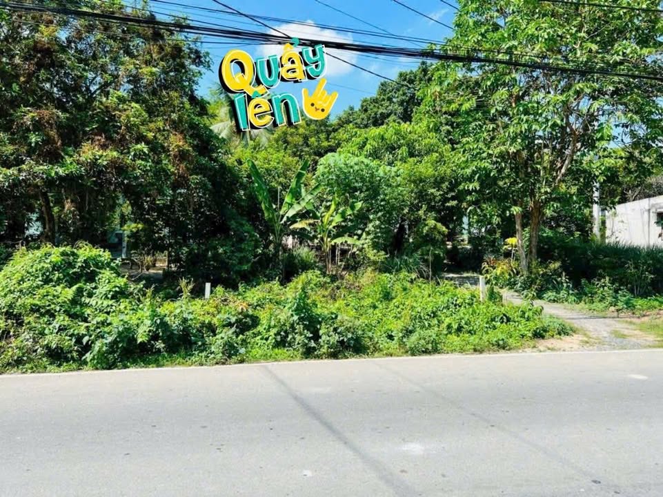 Đất mặt tiền Tỉnh lộ 15 Củ Chi 360m² giá 4.2 tỷ - Tiềm năng đầu tư sinh lời!