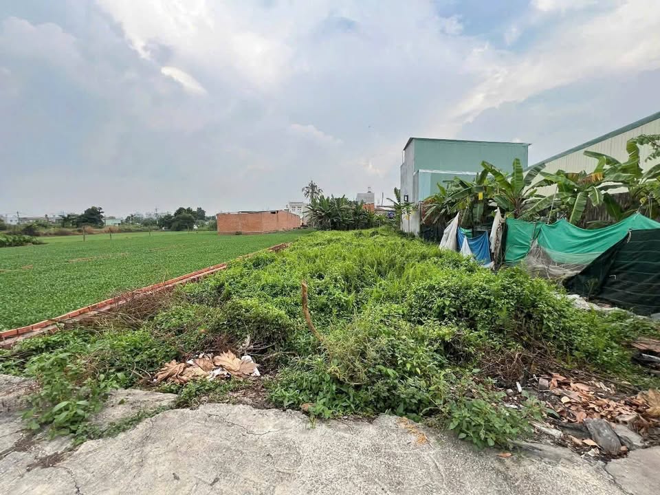 Đất nền khu dân cư kênh Nhà Vuông Củ Chi 330m² giá 2.5 tỷ - Cơ hội đầu tư tốt!