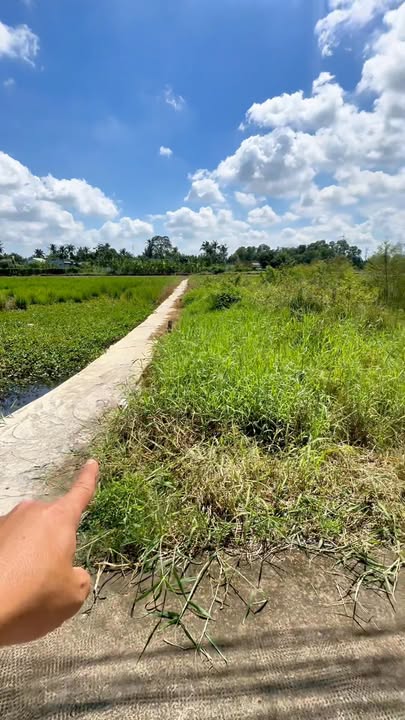 Đất nền Thuận Thành, Cần Giuộc, Long An 300m² giá 1.55 tỷ - Bán gấp, cơ hội đầu tư hấp dẫn!