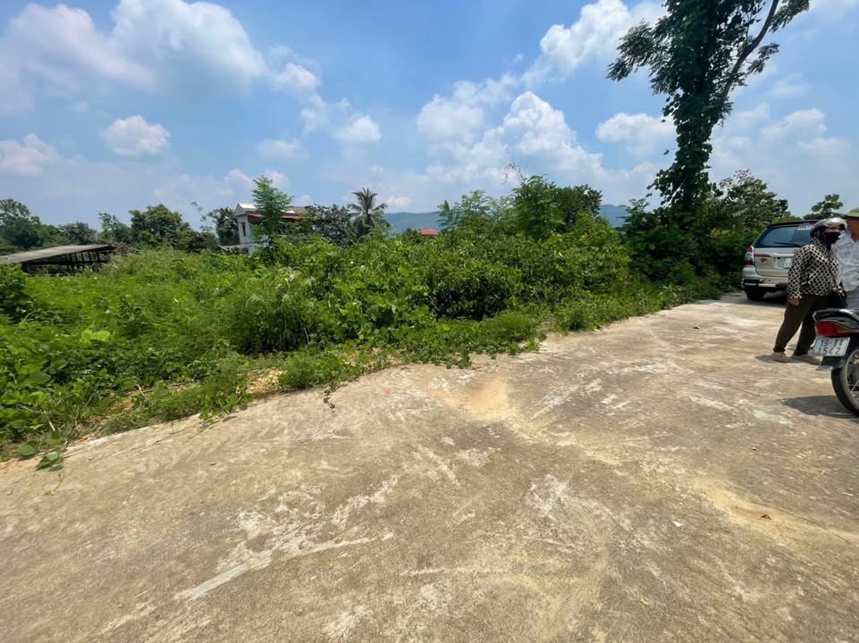 Đất nền Liên Đồng, Thanh Sơn 350m² giá 400 triệu - Cơ hội đầu tư hấp dẫn!