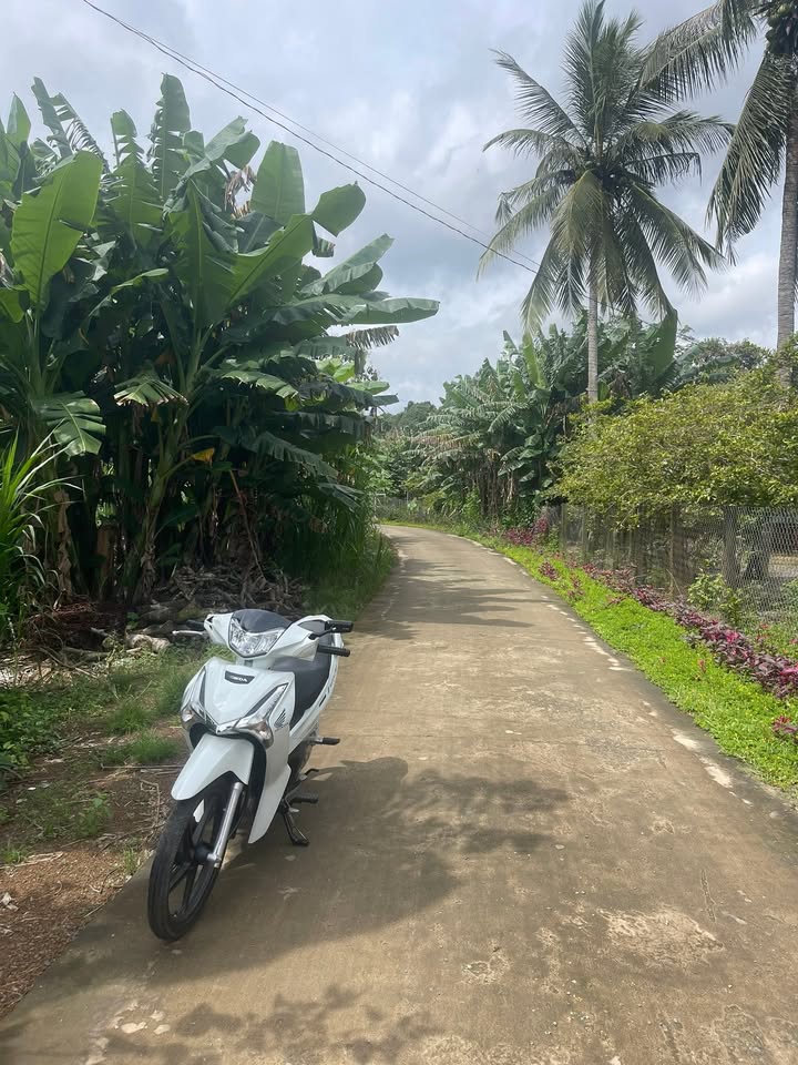 Đất nền tại xã Định Quán, Đồng Nai 2800m² giá 2.5 tỷ - Cơ hội đầu tư sinh lời!