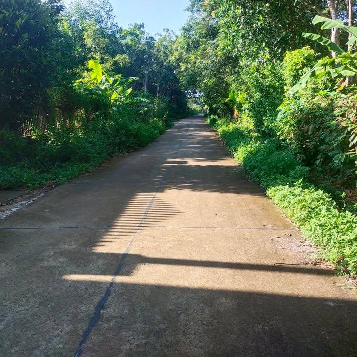 Đất lô góc 2 mặt tiền thôn 3 Vũ Hoà, Đức Linh, 5400m² chỉ 2.5 tỷ - Cơ hội đầu tư lý tưởng!