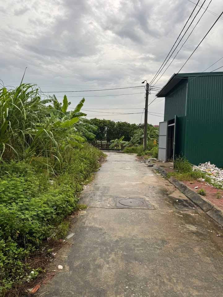 Đất nền mặt tiền QL 32, Ba Vì 60m² chỉ 2 tỷ - Cơ hội đầu tư tuyệt vời!