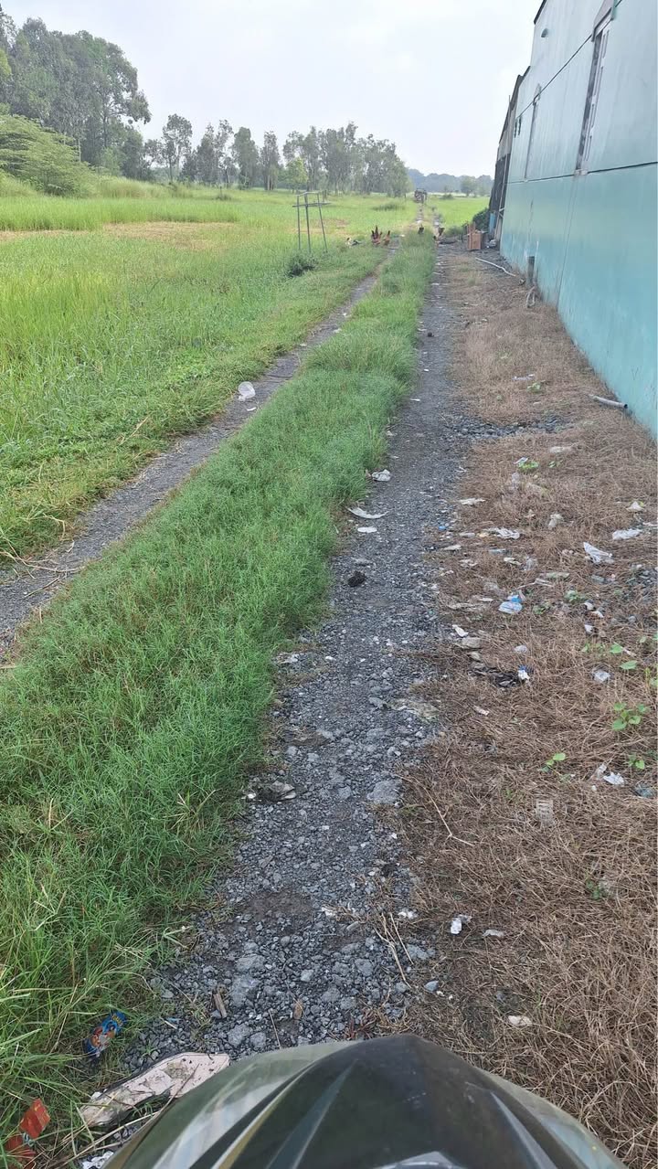 Đất mặt tiền Quốc lộ 22, Phước Hiệp 2000m² giá 20 tỷ - Đầu tư sinh lời cao!