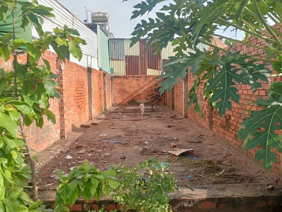 Đất nền 60m² xã Đông Thạnh, Hóc Môn - Giá chỉ 800 triệu!