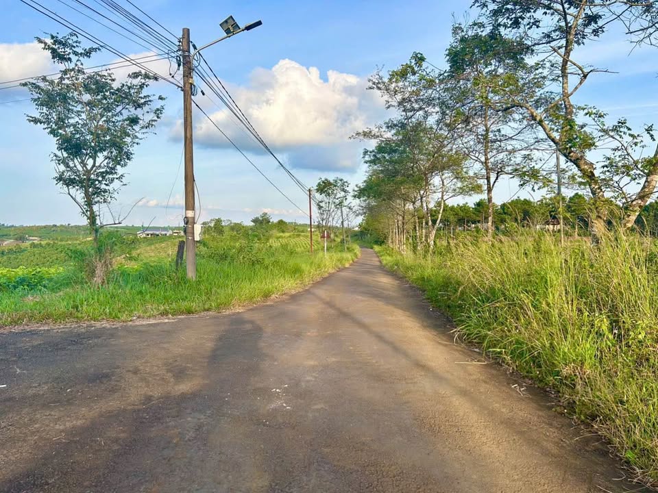 Đất nền Khu Biệt Thự Đồi Hướng Dương Bảo Lộc 500m² giá 2.05 tỷ - Cơ hội đầu tư hấp dẫn!