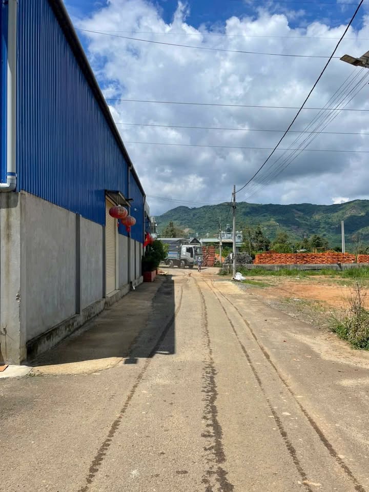 Đất thổ cư 703m² hẻm 119 Lam Sơn - Giá chỉ 98.42 tỷ VND!