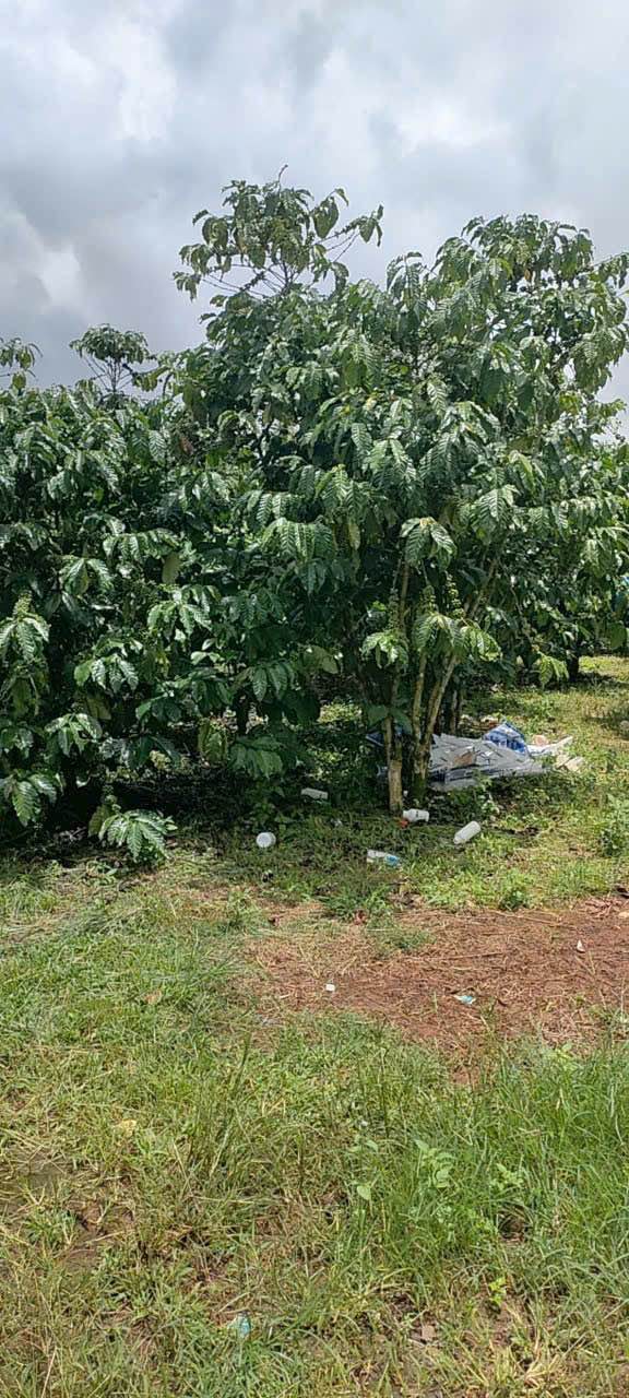 Đất nông nghiệp Lộc Đức 4500m² giá 1.62 tỷ - Cơ hội đầu tư hấp dẫn!