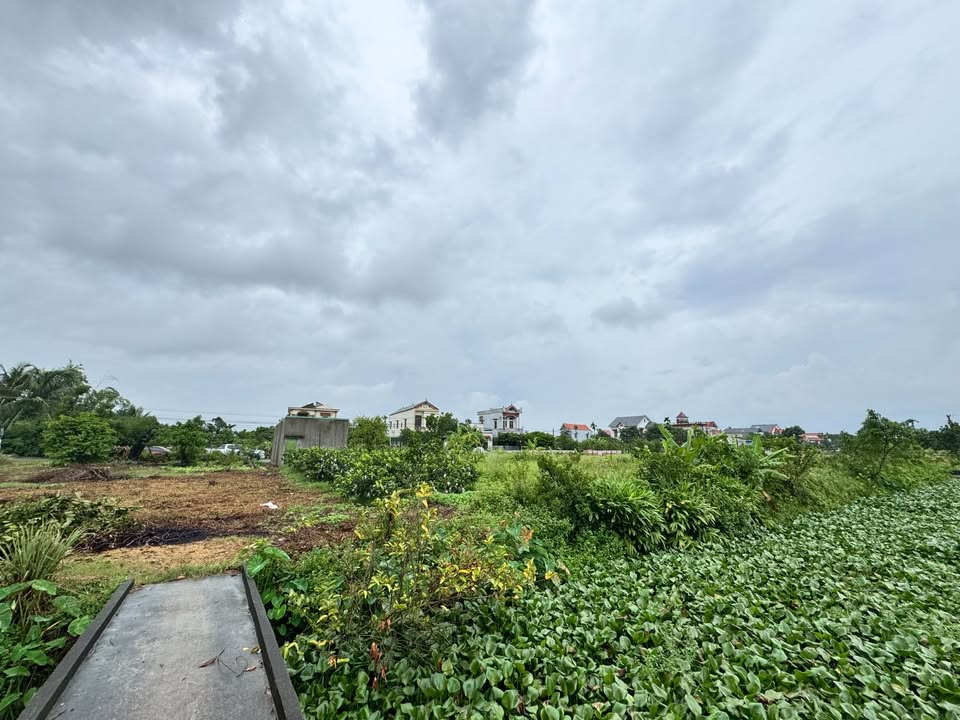 Đất nền xã Thanh Xuân, Thanh Hà 100m² giá 1.6 tỷ - Cơ hội đầu tư tuyệt vời!