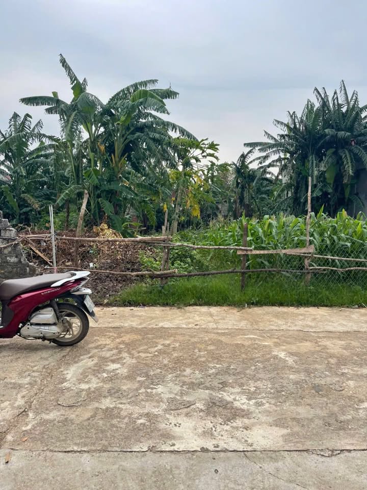 Đất nền Nghĩa Đàn 165m² giá 1 tỷ - Vị trí trung tâm sầm uất!