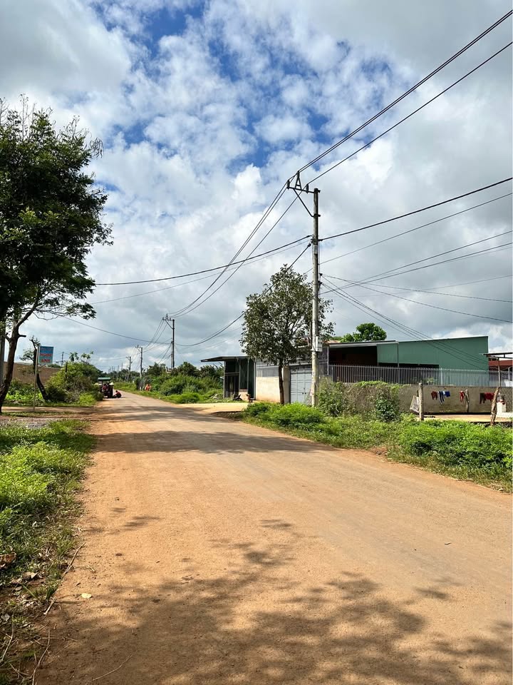 Đất thổ cư mặt tiền Lý Chính Thắng, 270m² chỉ 730 triệu - Cơ hội đầu tư tuyệt vời!