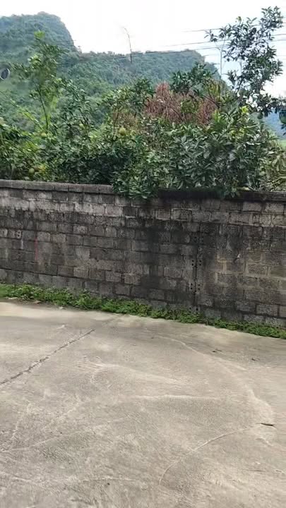 Đất nền Yên Trị Yên Thủy 100m² giá chỉ 200 triệu - Đầu tư sinh lời ngay!