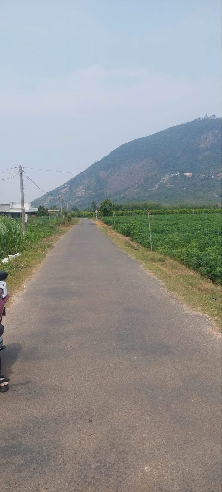 Đất nông nghiệp 8 công tại xã Phan Dương, Tân Châu, Tây Ninh - Mặt tiền đường nhựa, view núi đẹp!