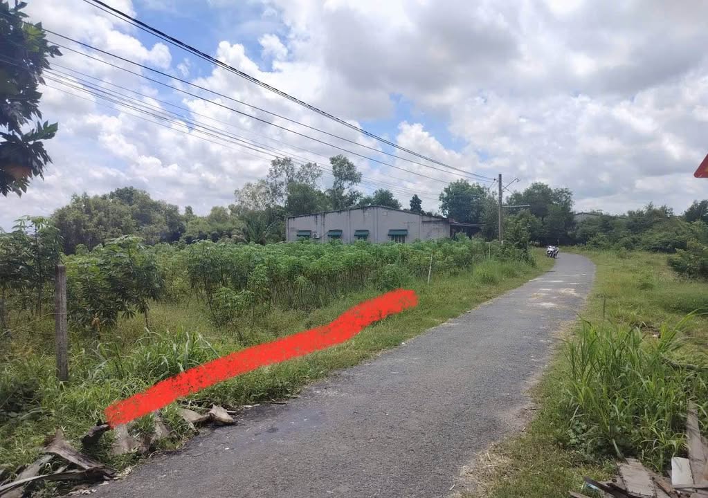 Đất nền Long Chữ Bến Cầu 350m² giá 420 triệu - Cơ hội đầu tư hấp dẫn!