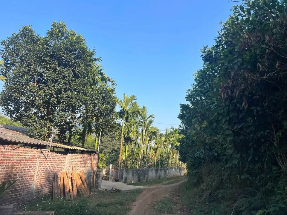 Đất thổ cư Vũ Bình, Lạc Sơn 1044m² giá chỉ 5xx triệu - Cơ hội đầu tư tuyệt vời!