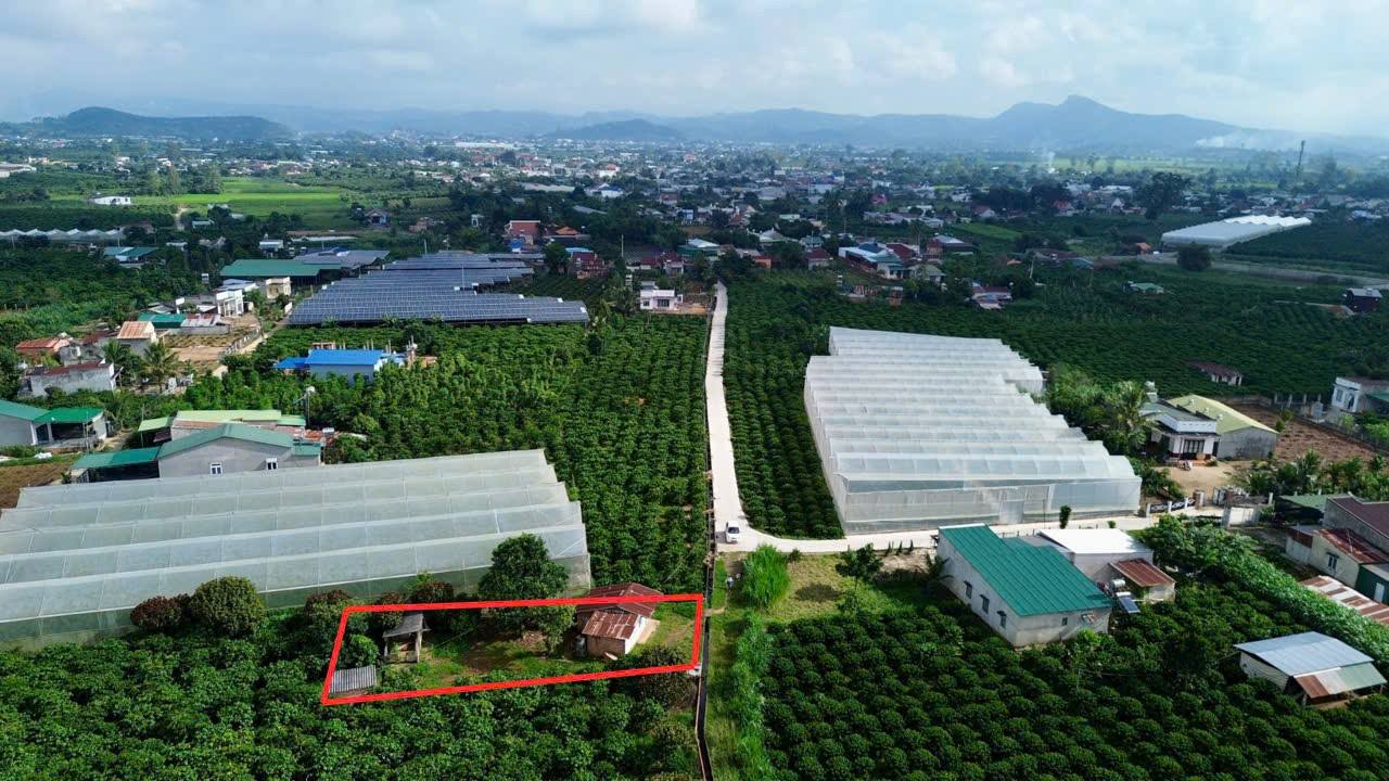Đất 315m² tại Đinh Văn, Lâm Hà chỉ 790 triệu - Đầu tư sinh lời ngay!